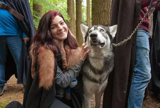 GoT Direwolves