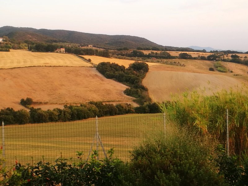 Casale Poggio Meone