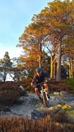 School of Mountain Biking