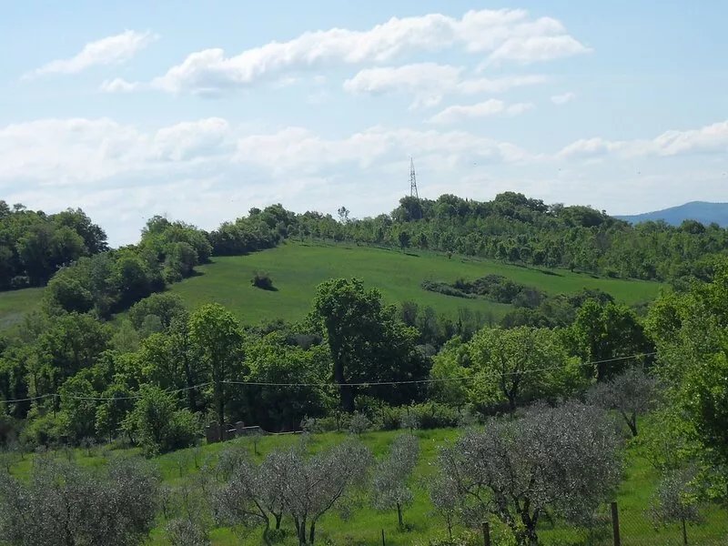 A comfortable nice cottage in the quiet hills between Siena and San Gimignano