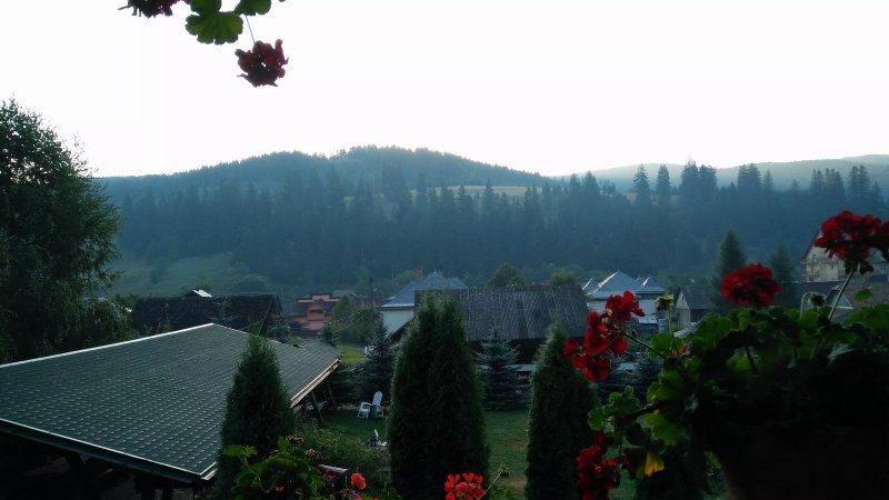 Conacul Domnitei