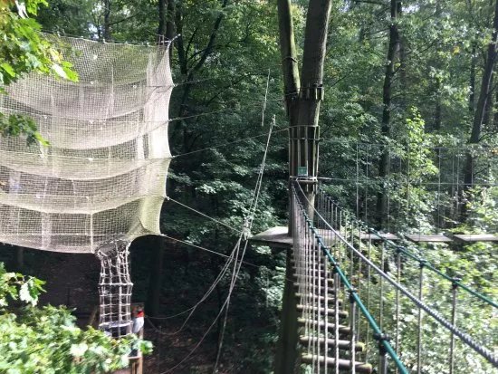 Wald-Abenteuer Velbert-Langenberg