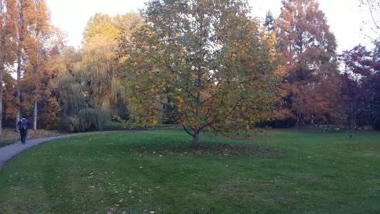 Hohenheimer Garten