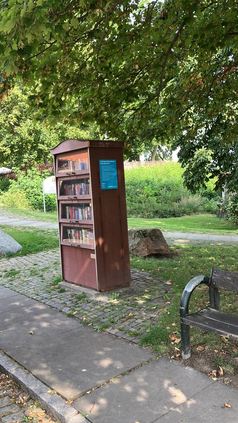 Offentlicher Bucherschrank Schoningen