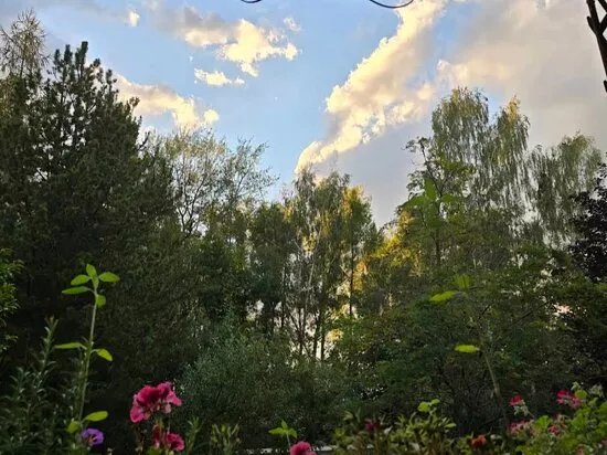 Hutholzgarten Gemeinschaftsgarten vom Kneipp-Verein Chemnitz e.V.