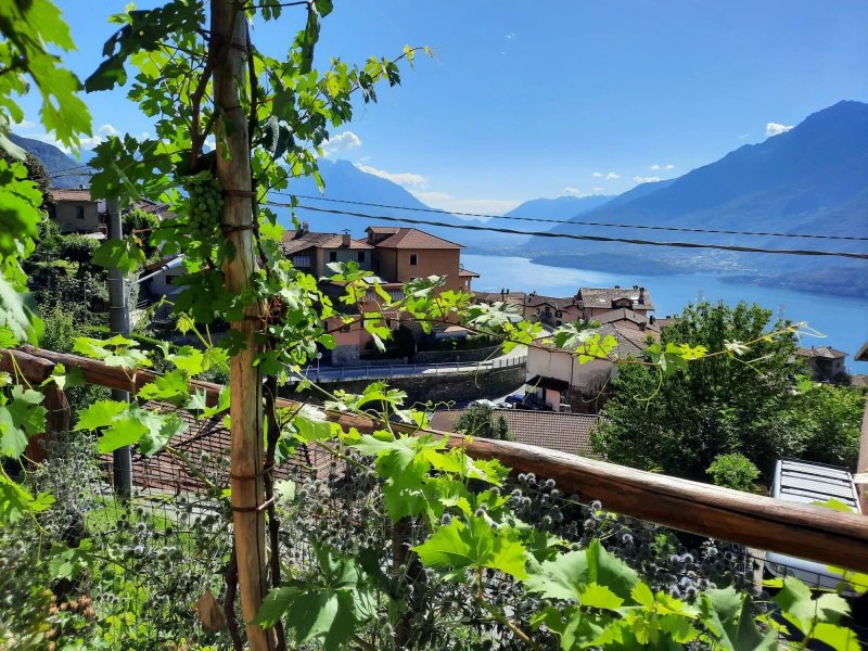 Agriturismo "Botton d'Oro"
