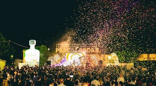Fish And Gin Festival