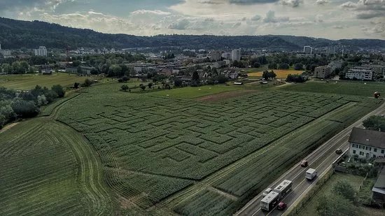 Maislabyrinth Wettingen