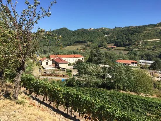 Azienda Agricola Barberis