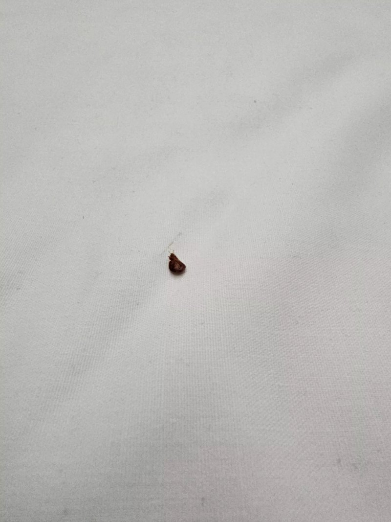 Auszeit Das Hotel Schweitenkirchen