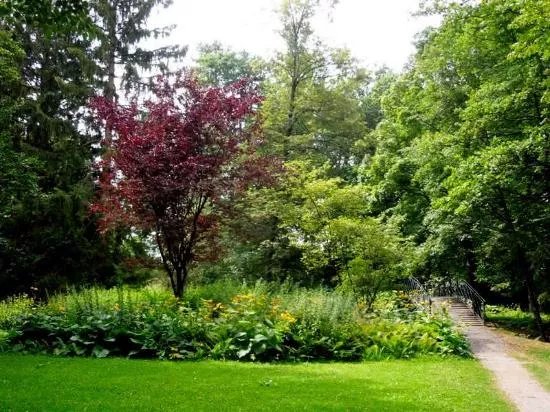 Jordanpark