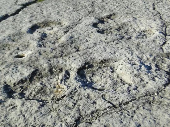 Natural Monument of the Dinosaur Footprints
