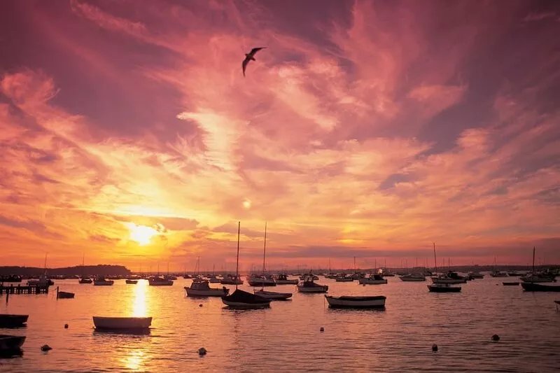 Perfect Harbour Views -  an apartment that sleeps 4 guests  in 2 bedrooms