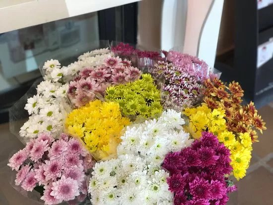 Lola's Floristas