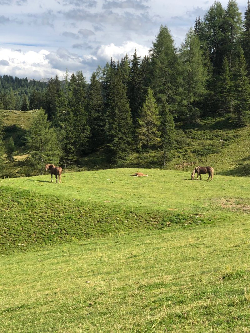 Haibenalm