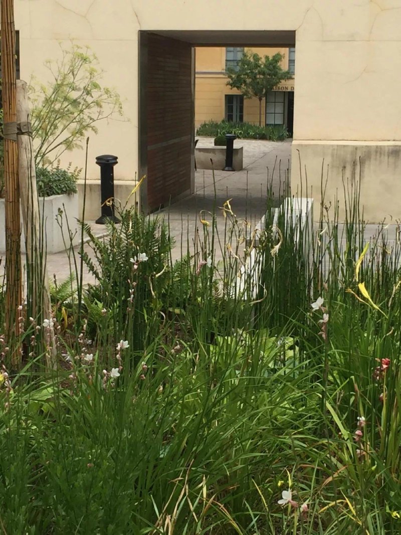 Cour et Jardin des Senteurs