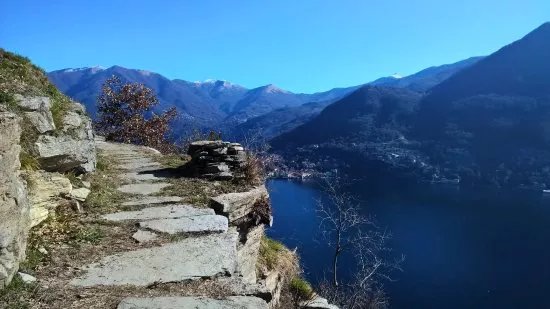 Sentee di Sort