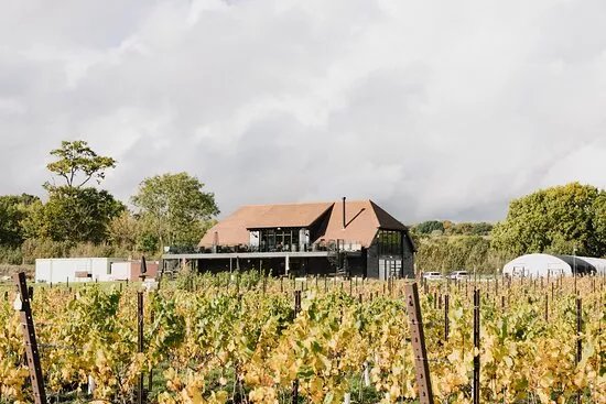 Kinsbrook Vineyard