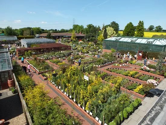 Ashwood Nurseries