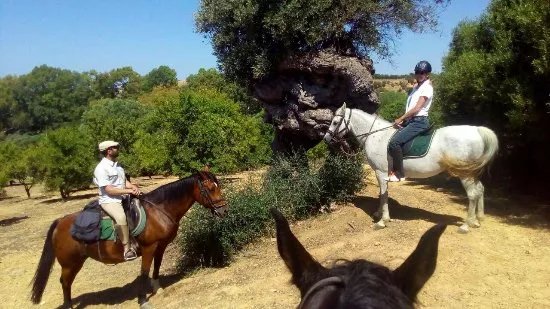 Amici del Cavallo