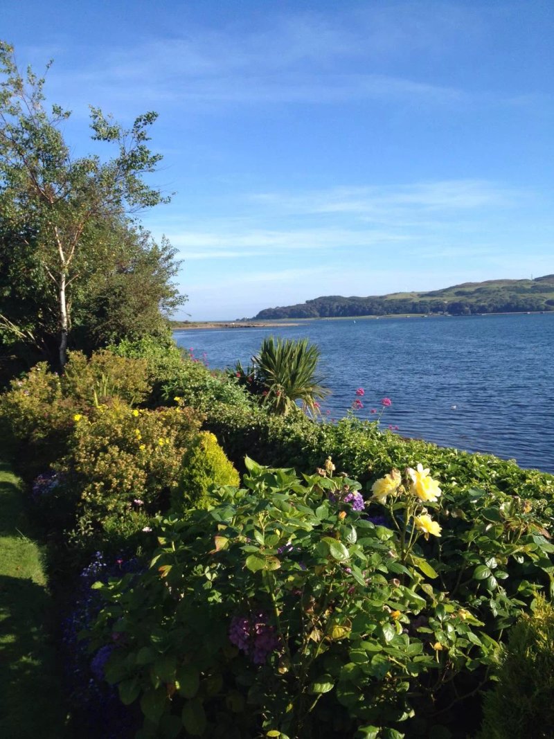 Rosemount Guest House