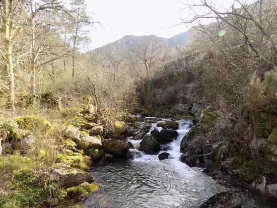 Why Not On Nature