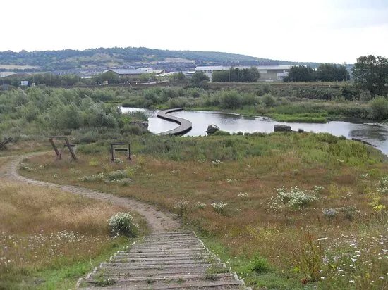 Centenary Riverside Nature Reserve
