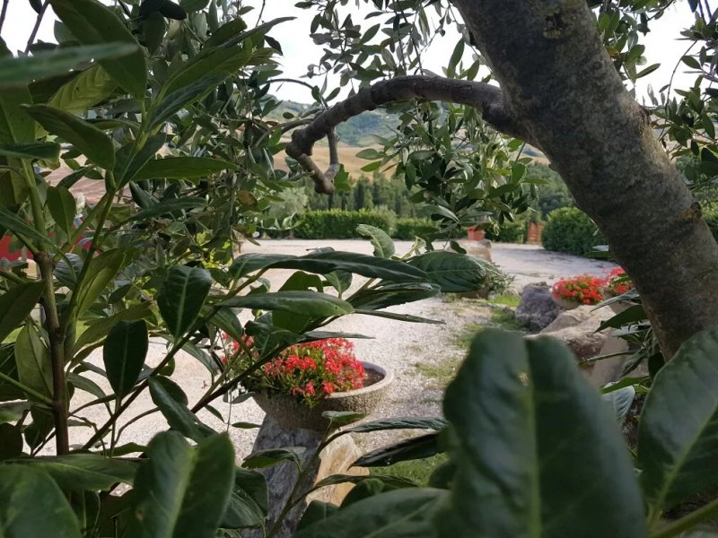 La Locanda Del Bosco