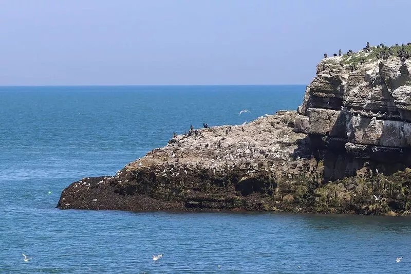 YR HEN FEUDY, family friendly, luxury holiday cottage in Moelfre