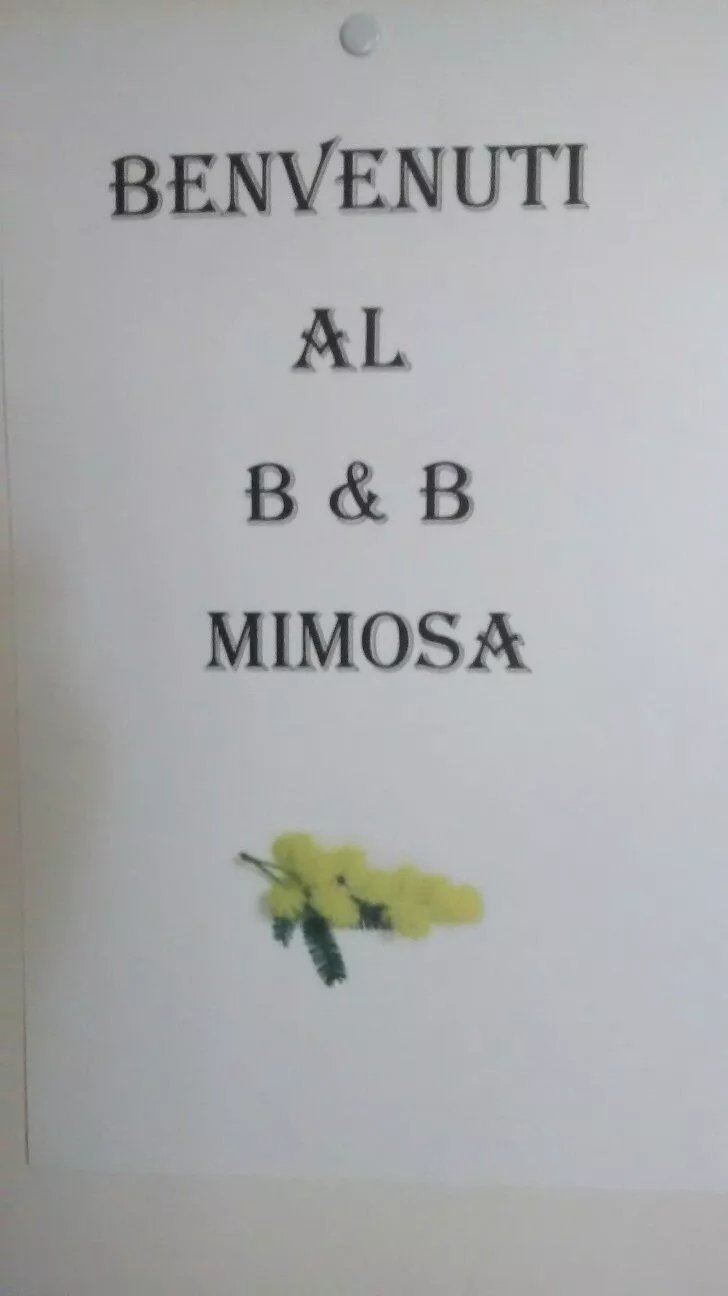Mimosa B&B