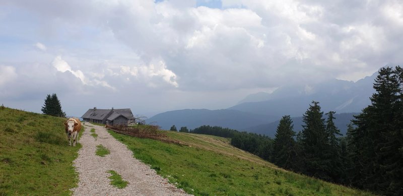 Stoisser Alm