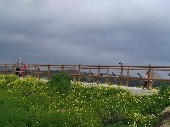 Sendero del Arroyo de la Madre Vieja