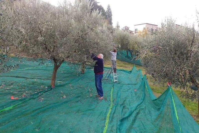 Apartment in villa with pool at walking distance from Todi center