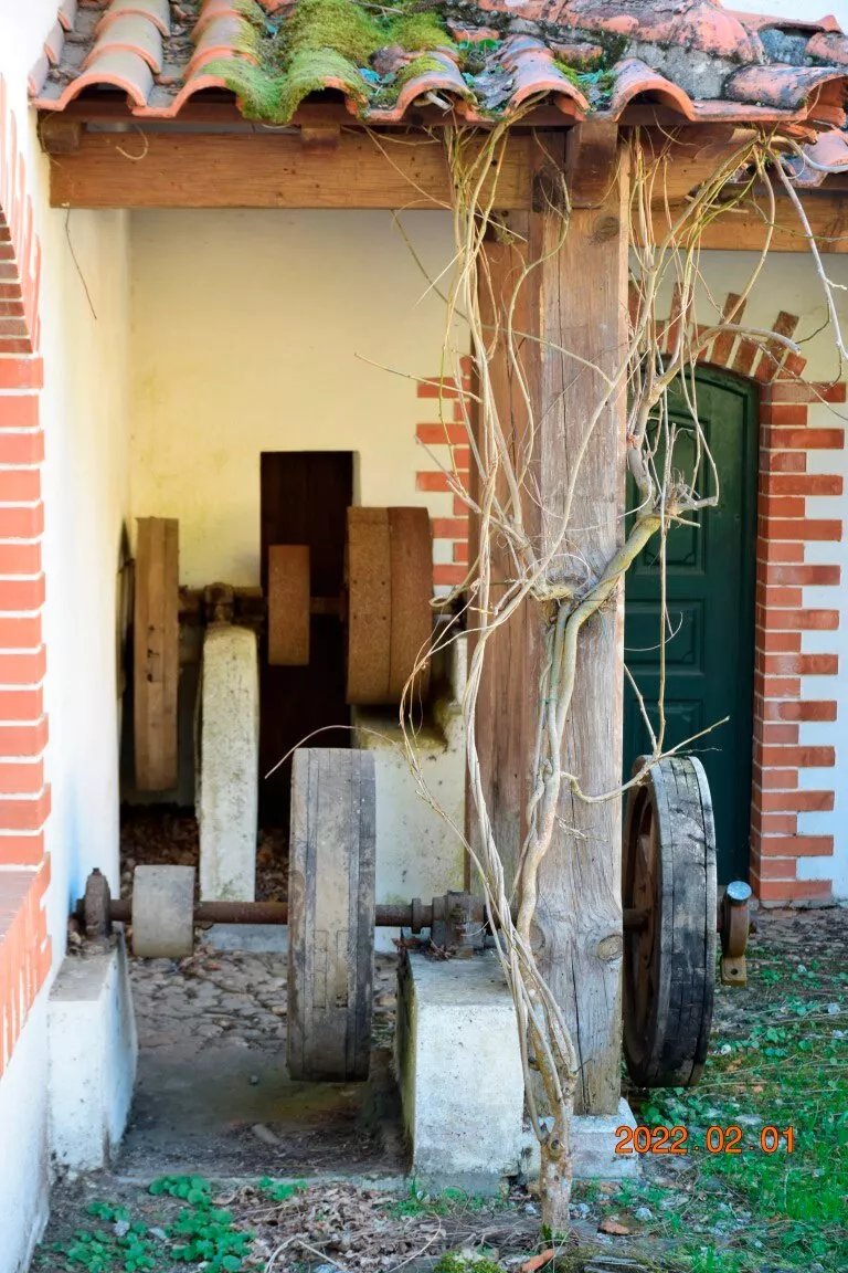 Igreja De S. Pedro e Convent - Matriz De Folgues