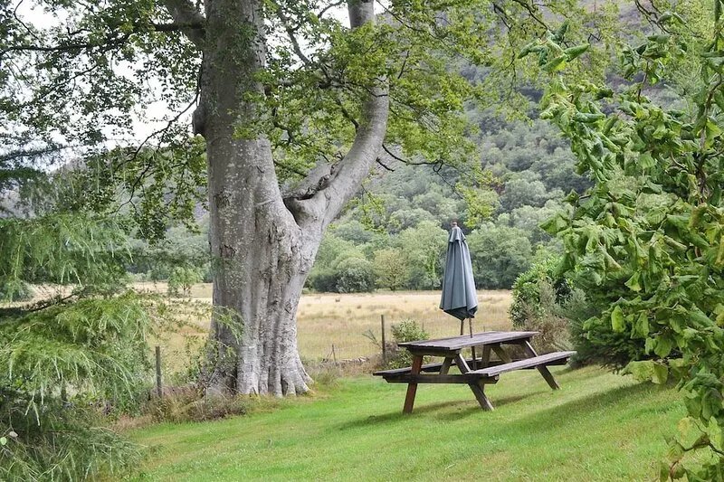 1 bedroom accommodation in Beddgelert, near Caernarfon