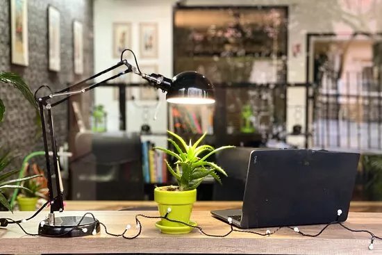 Cactus Coworking