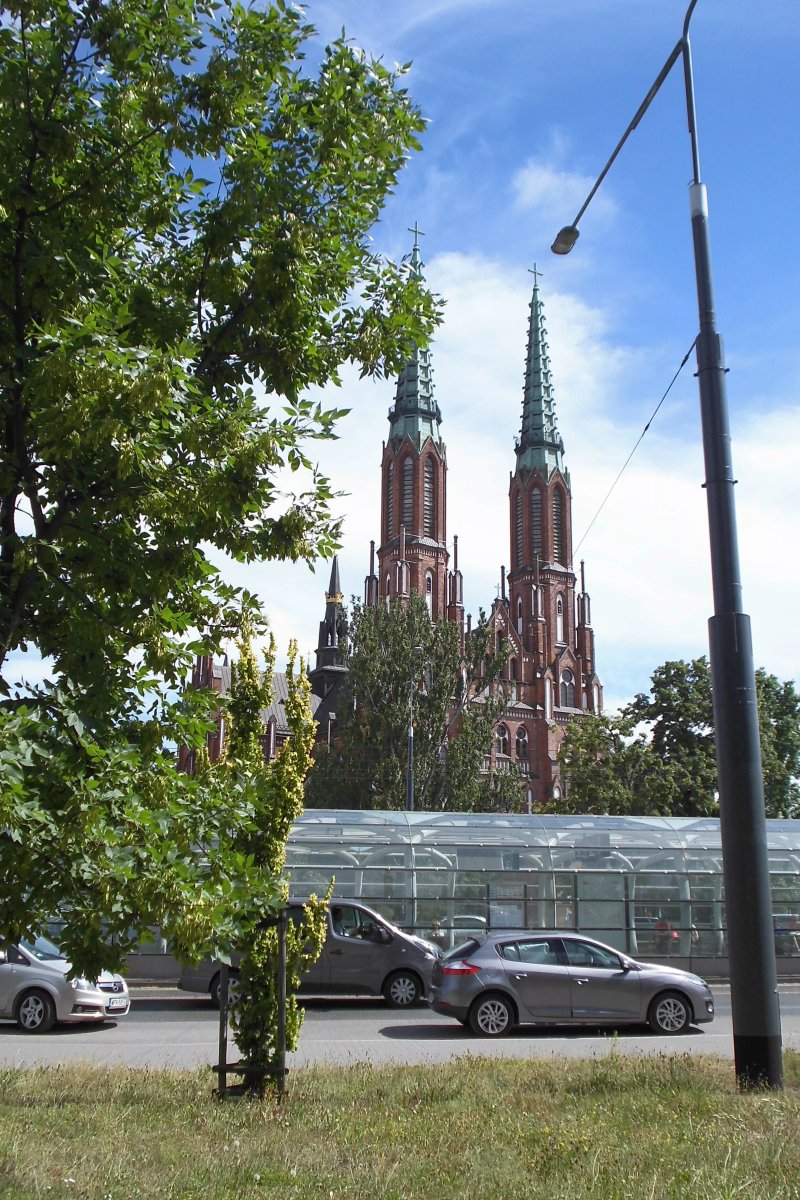 Wybieg niedzwiedzi brunatnych