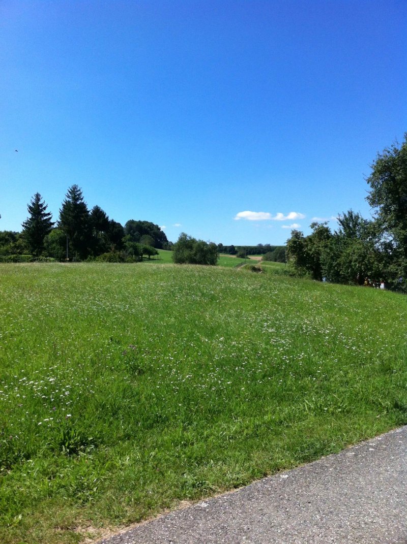 Gasthaus Zur Linde
