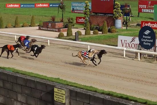 Monmore Green Greyhound Stadium