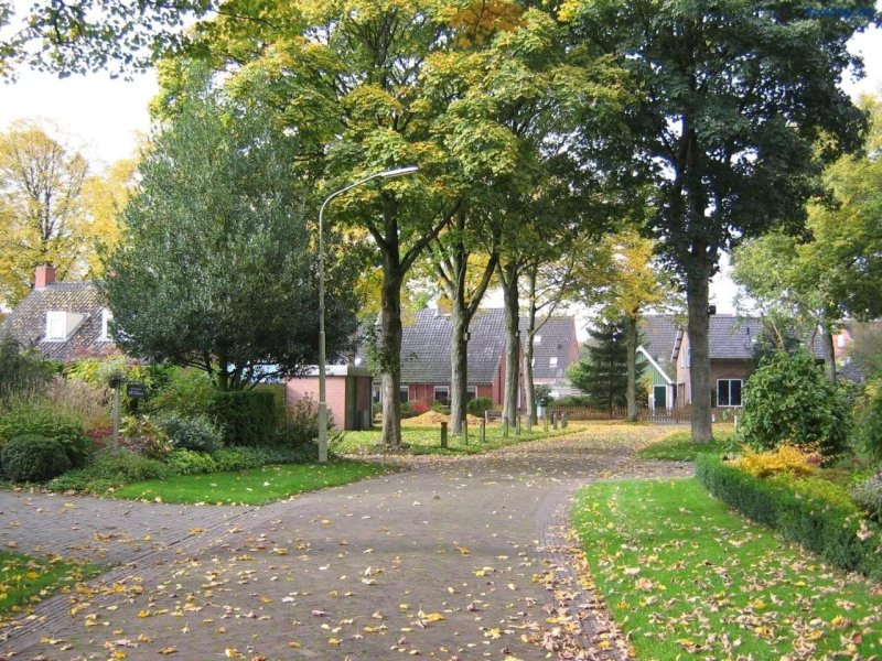 B&B De Esdoorn