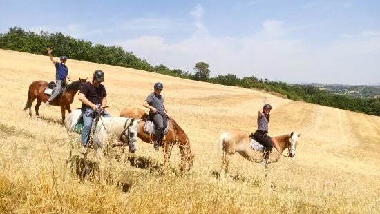 Maneggio Guelfi Neri - Passeggiate a cavallo nel chianti