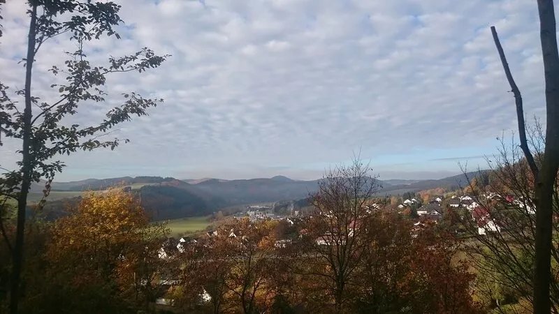 Cozy wooden house with a fireplace and great views, fenced garden