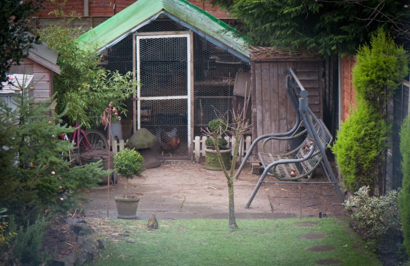 Homelea Guest House