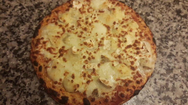 Calabrisella