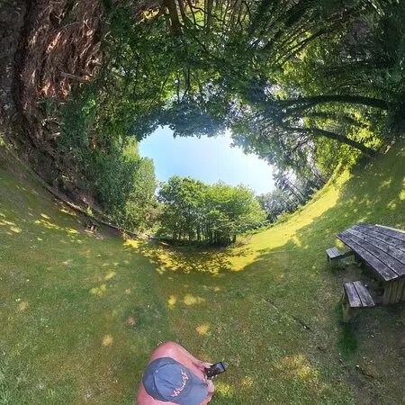 Rspb Mawddach Woodlands Picnic Area