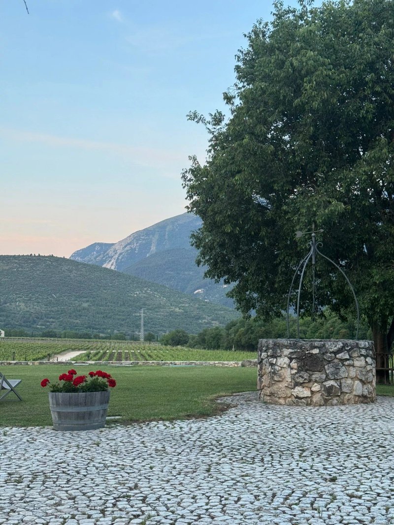 San Calisto Camere Con Vigna