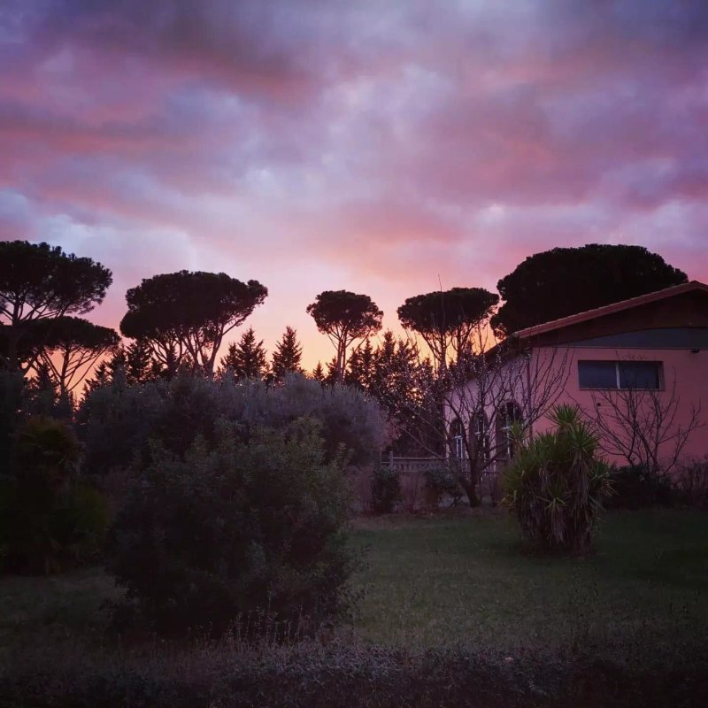 L' Aia di Carinda R.T.A.