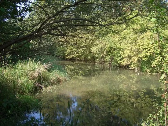 Naturschutzgebiet Taubergiessen