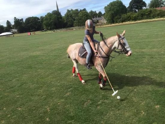 Leadenham Polo Club