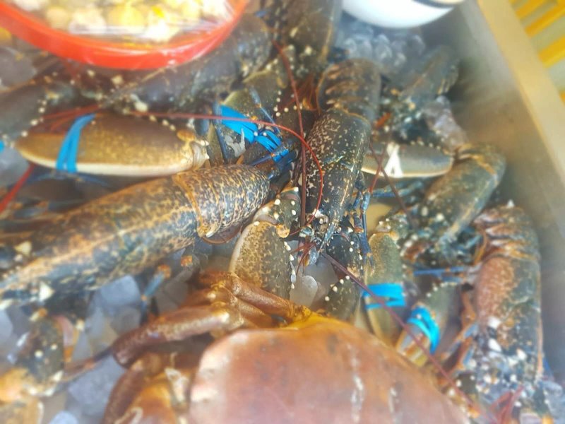 Shelby's Seafood & Steak